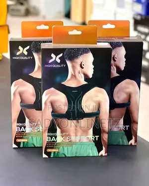 Adjustable Back Support
