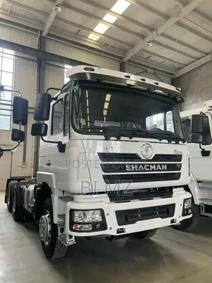 China Truck Sales