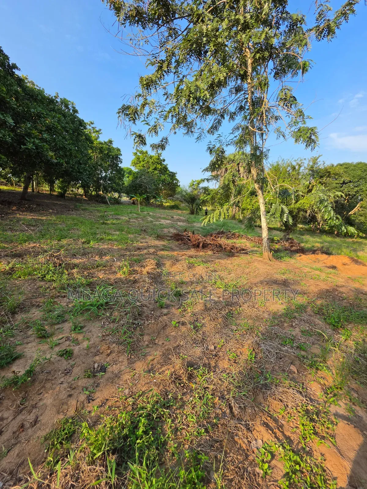 Plot Area Sqm1200 for Sale Located in Madale Mbopo