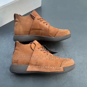 Extrusive Brown Cat Shoes