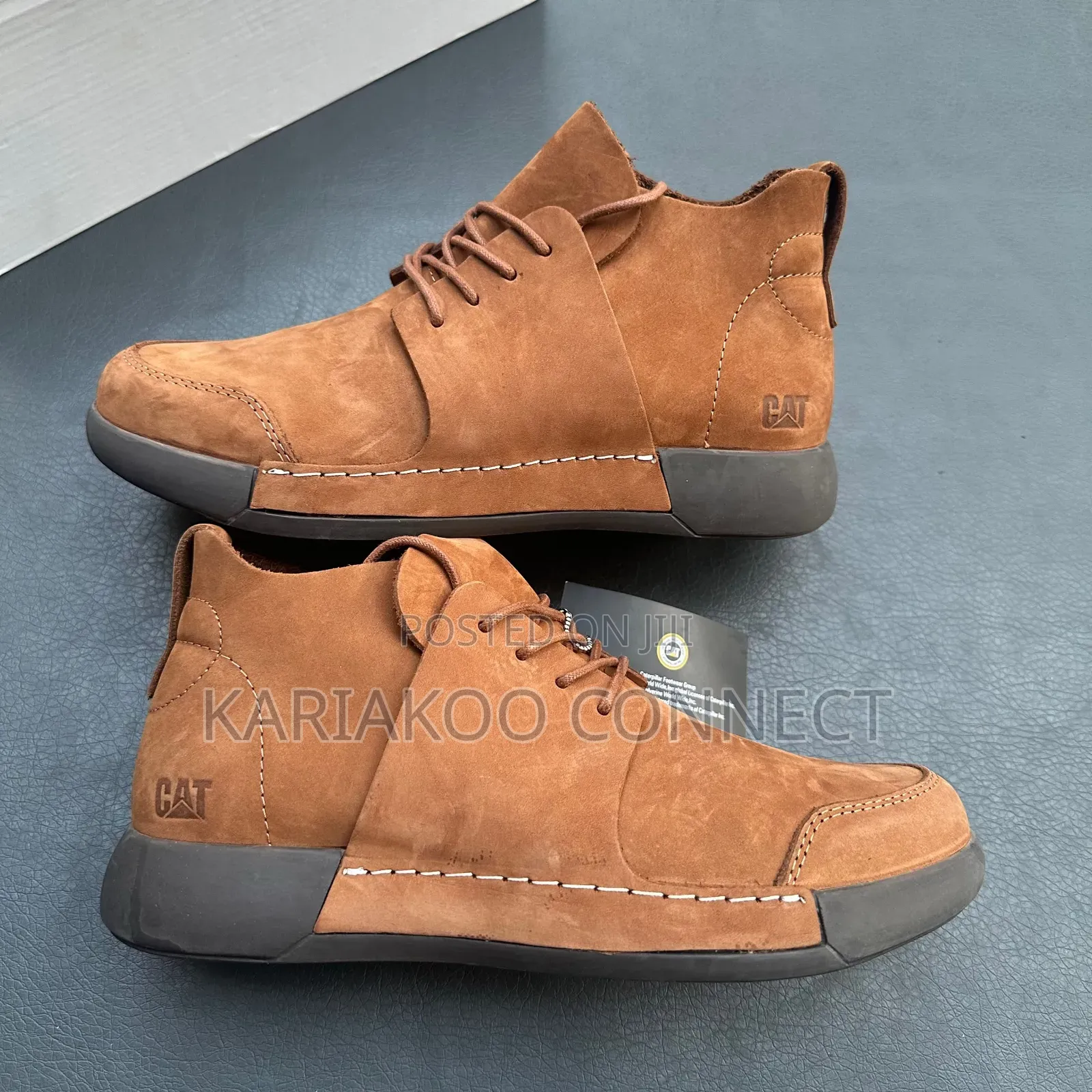 Extrusive Brown Cat Shoes