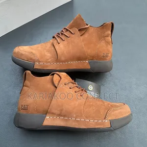 Extrusive Brown Cat Shoes