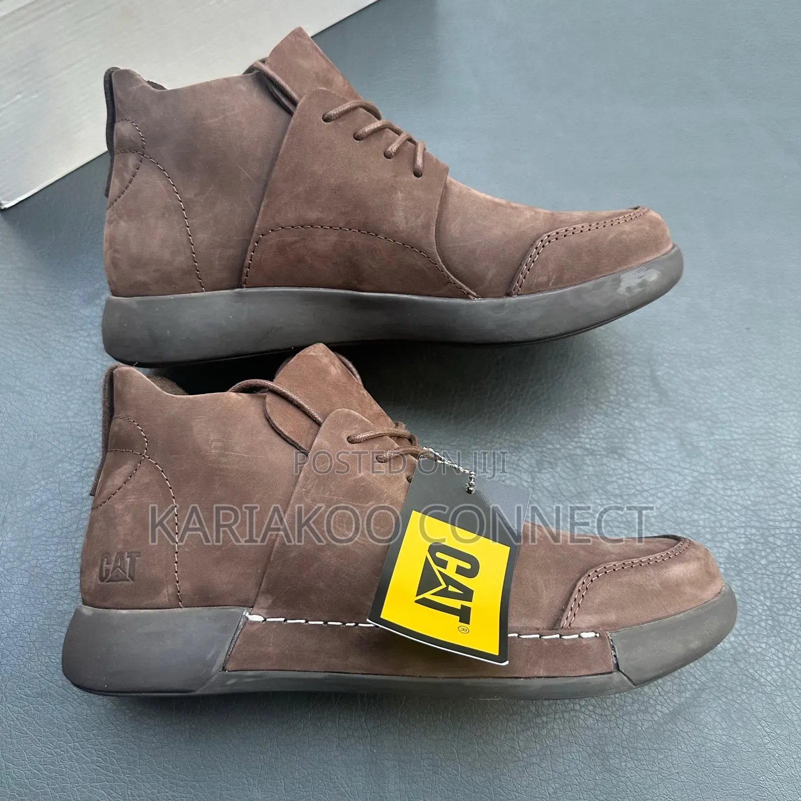 Extru Chocolate Cat Shoes