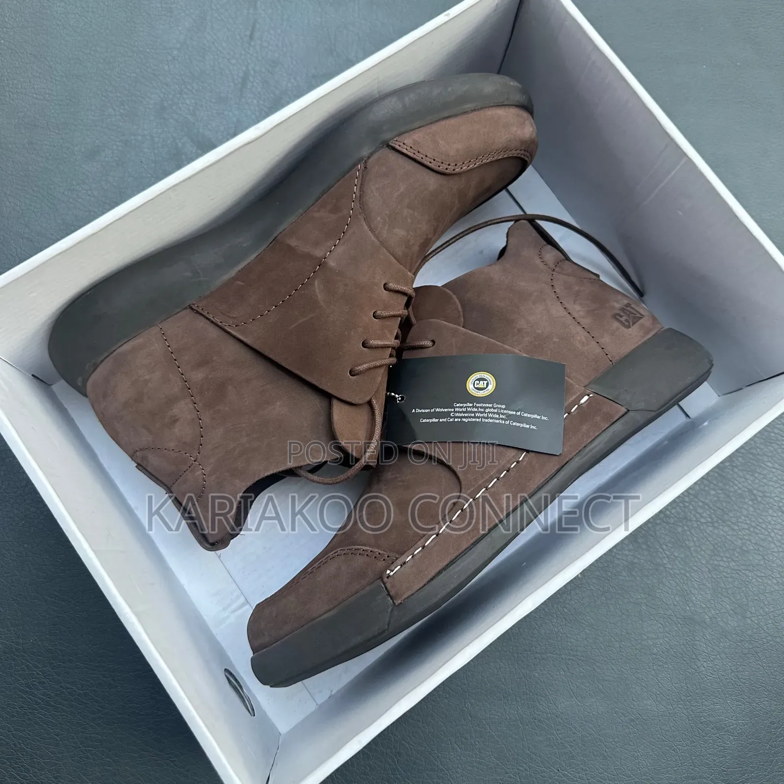Extru Chocolate Cat Shoes