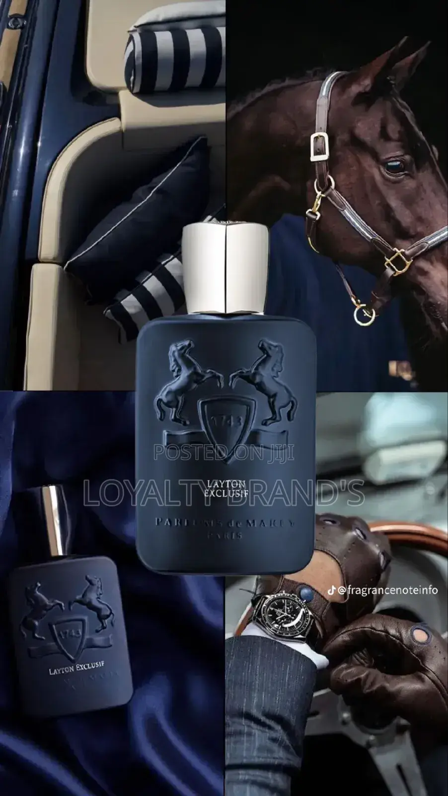 Layton Exclusif