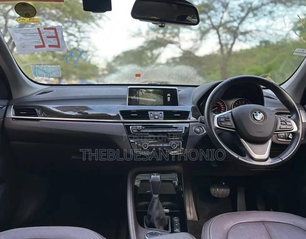 BMW X1 2017 Brown