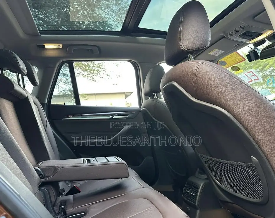 BMW X1 2017 Brown