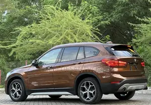 BMW X1 2017 Brown