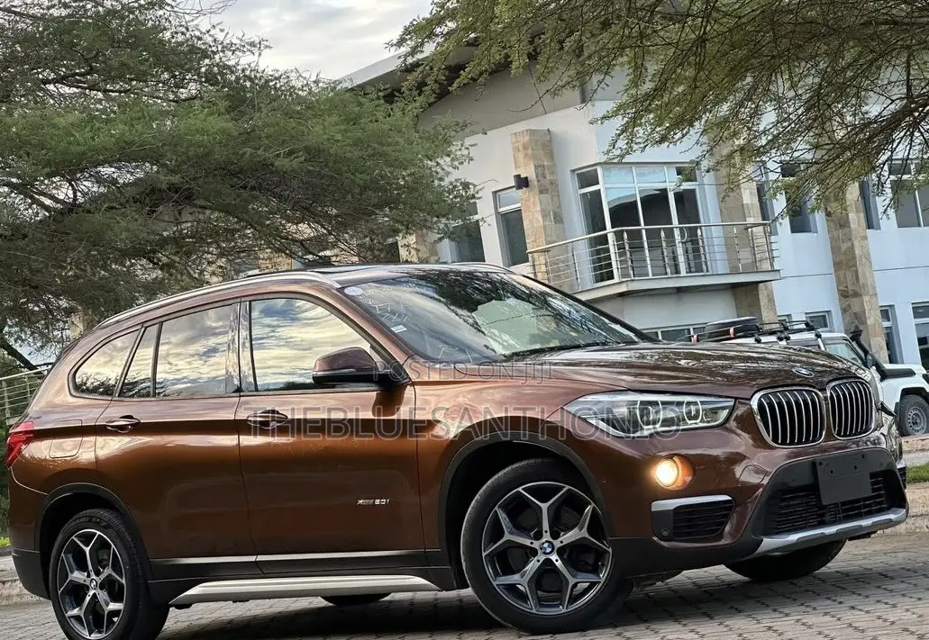 BMW X1 2017 Brown