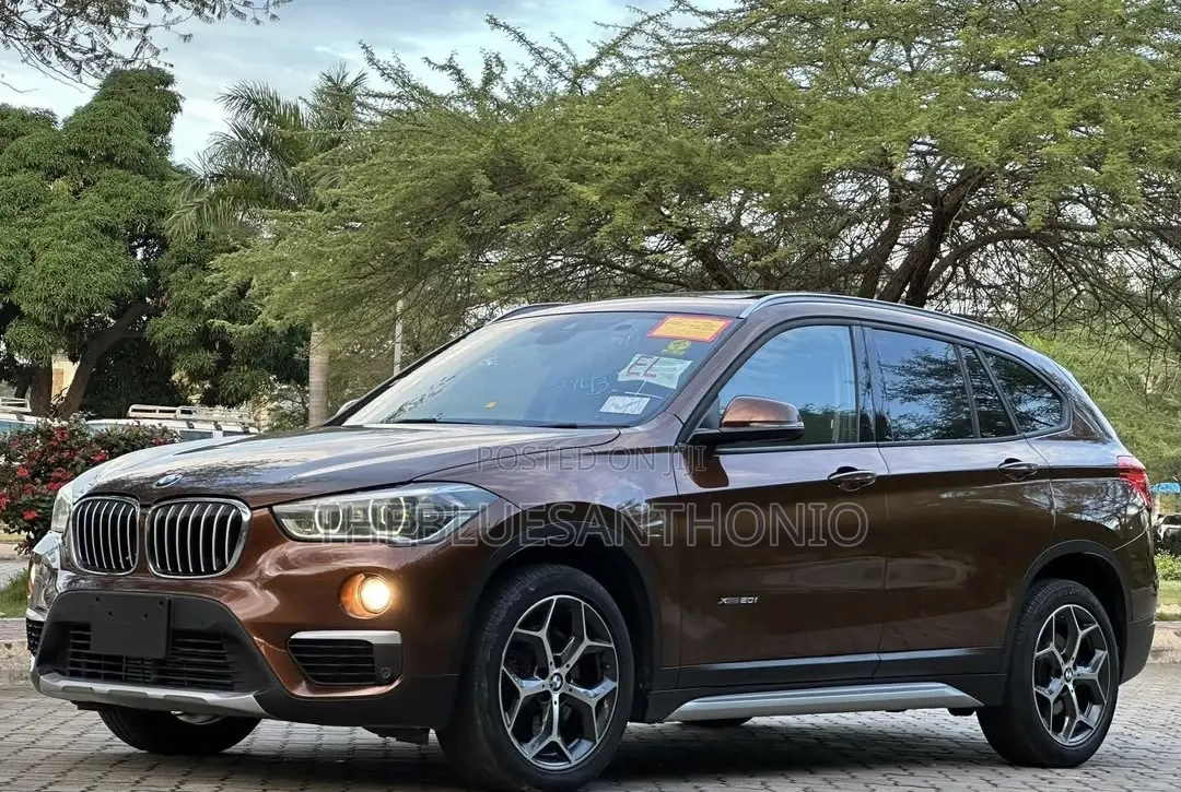 BMW X1 2017 Brown