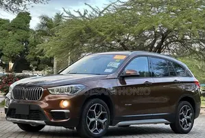 BMW X1 2017 Brown