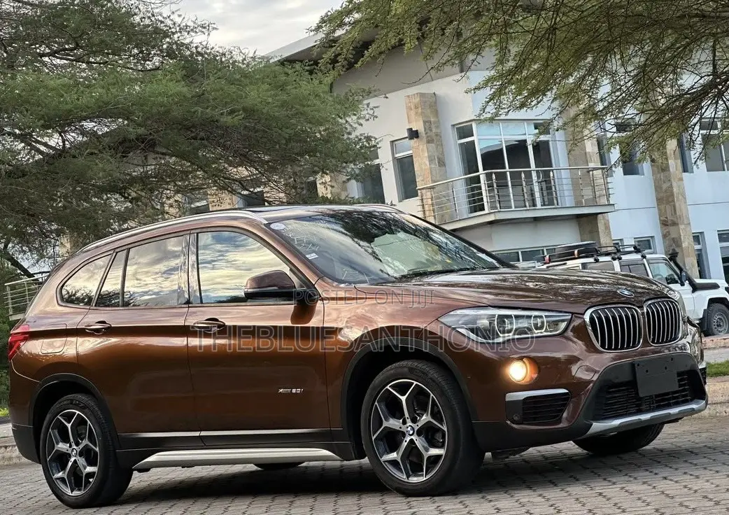 BMW X1 2017 Brown