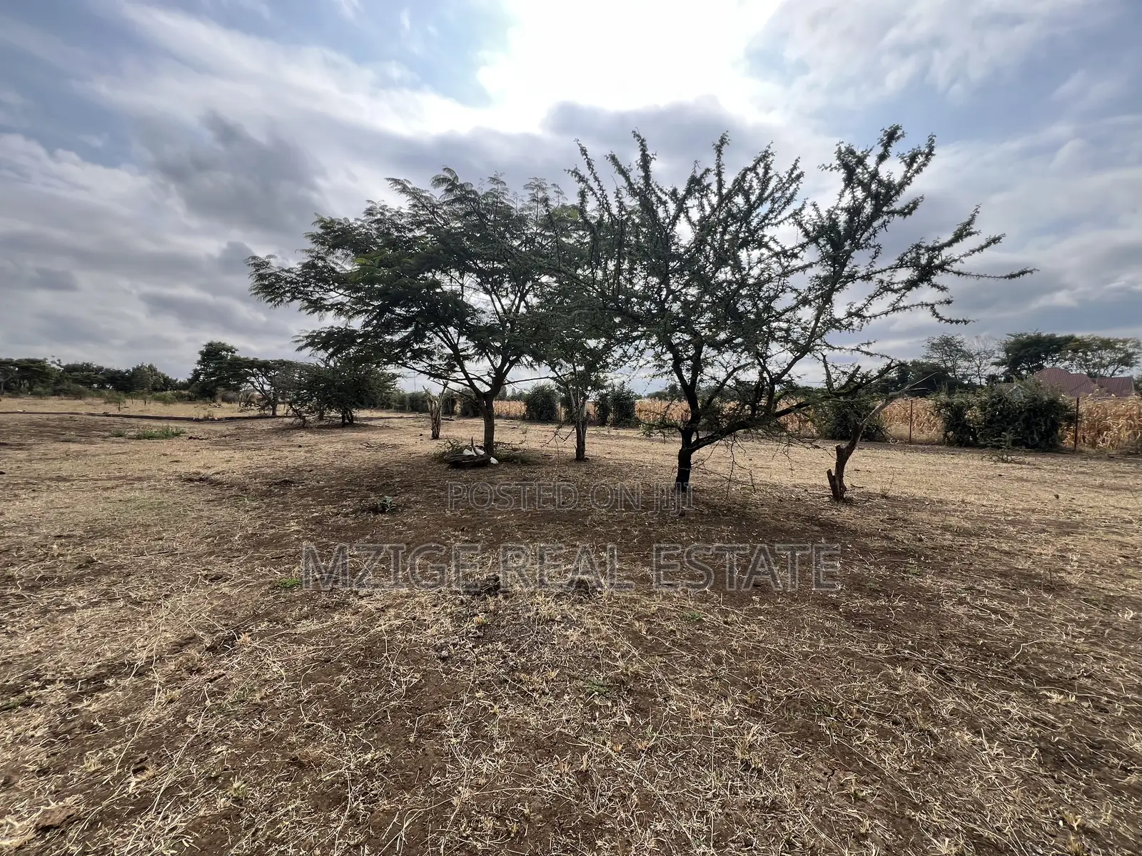 Premium Investment Opportunity in Arusha – Mateves Near Afcon Stadium