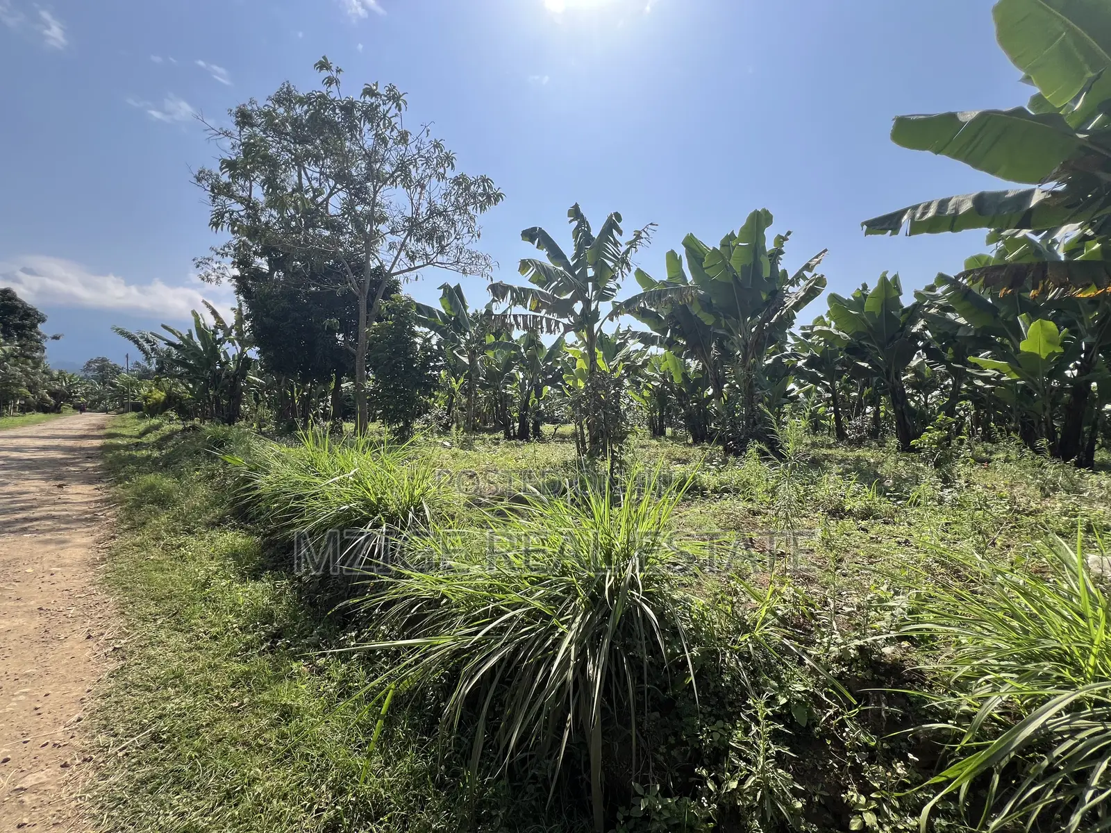 Premium 3.8-Acre Commercial Land in Shangarai / Msorongo, Arusha