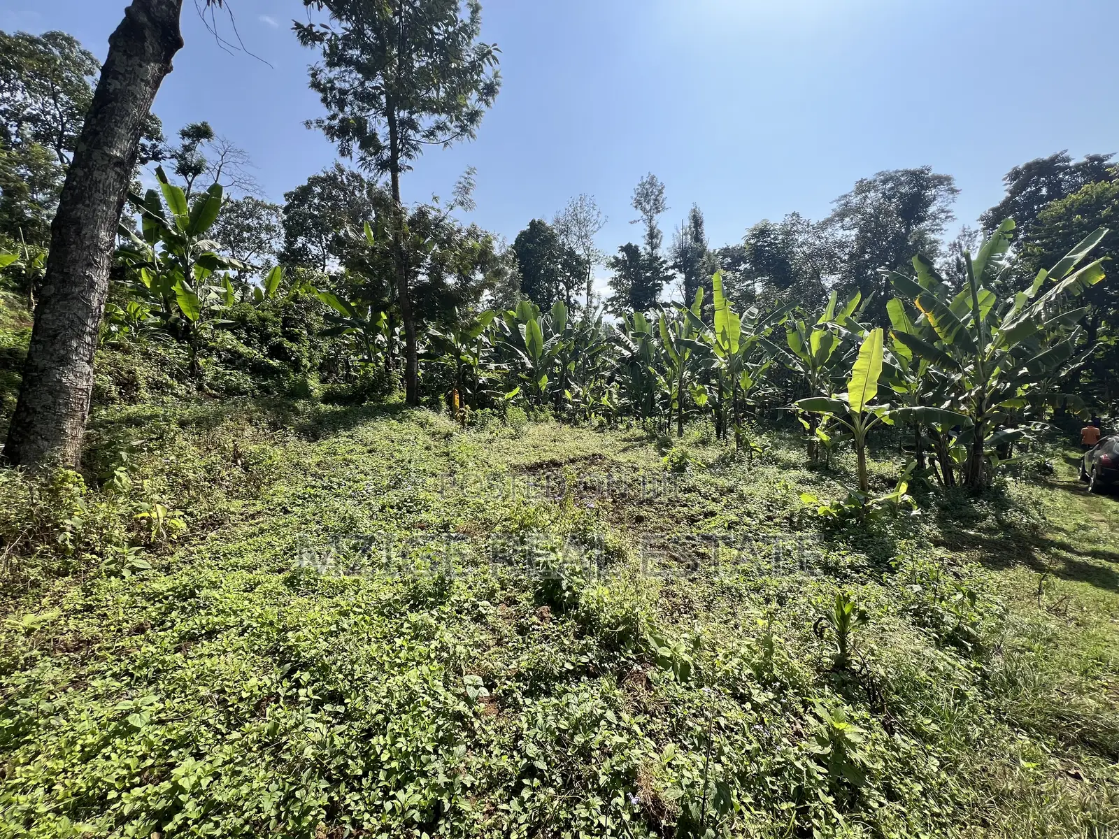 Premium 3.8-Acre Commercial Land in Shangarai / Msorongo, Arusha