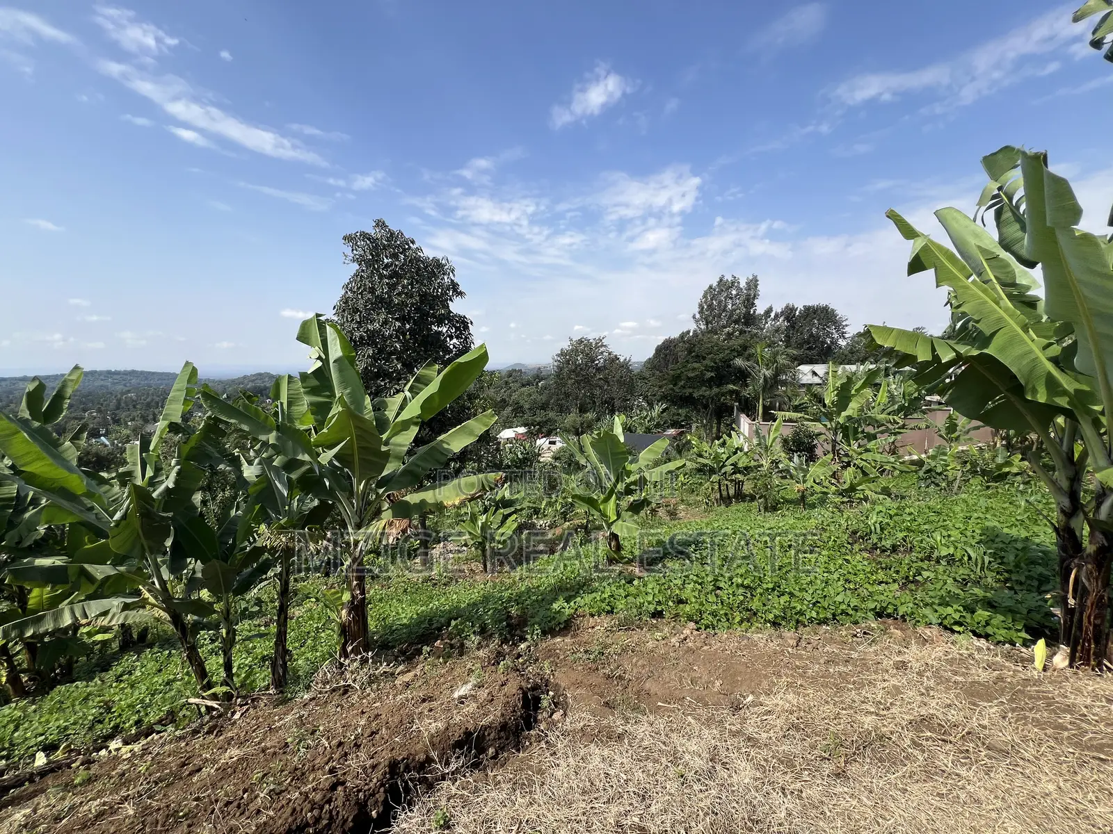 Premium 3.8-Acre Commercial Land in Shangarai / Msorongo, Arusha