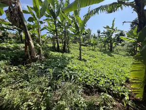 Premium 3.8-Acre Commercial Land in Shangarai / Msorongo, Arusha