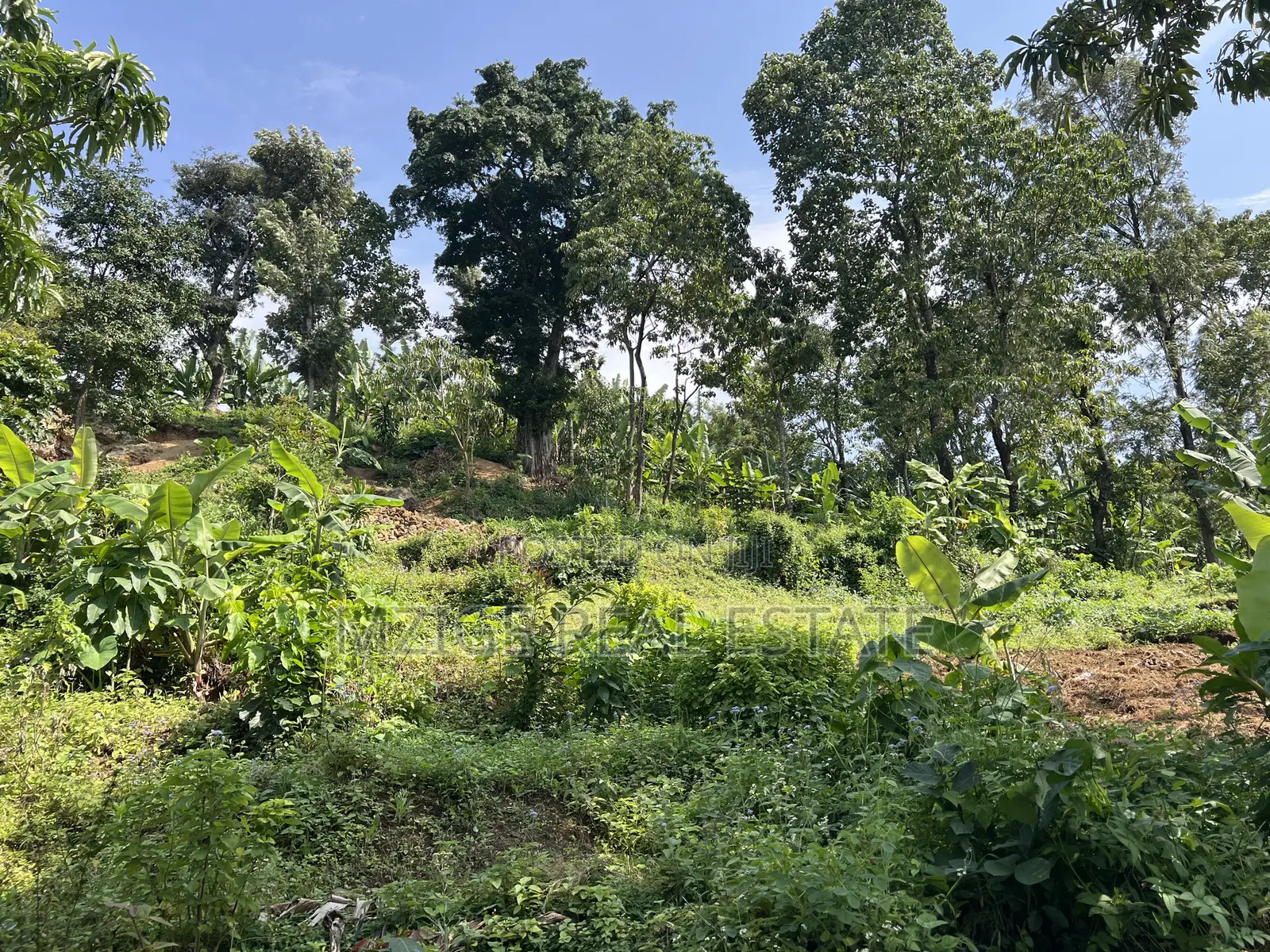 Premium 3.8-Acre Commercial Land in Shangarai / Msorongo, Arusha