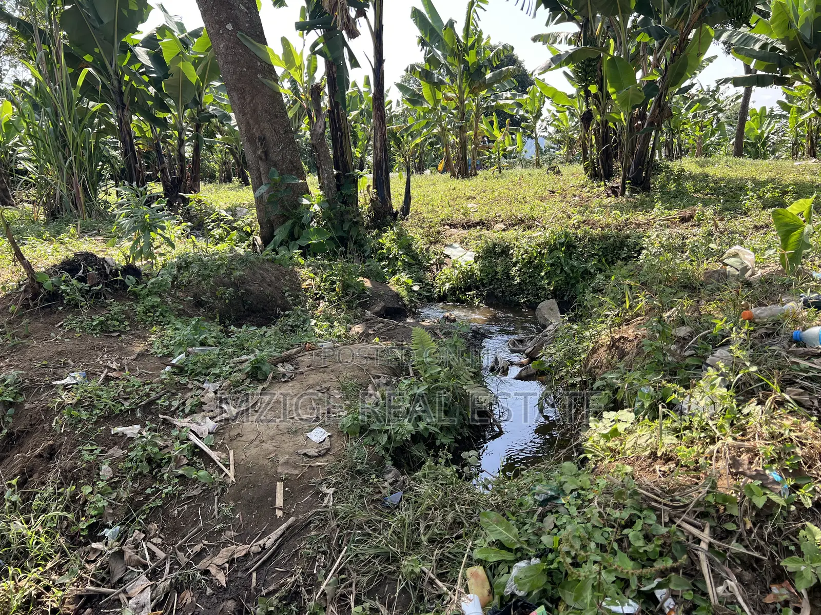 Premium 3.8-Acre Commercial Land in Shangarai / Msorongo, Arusha