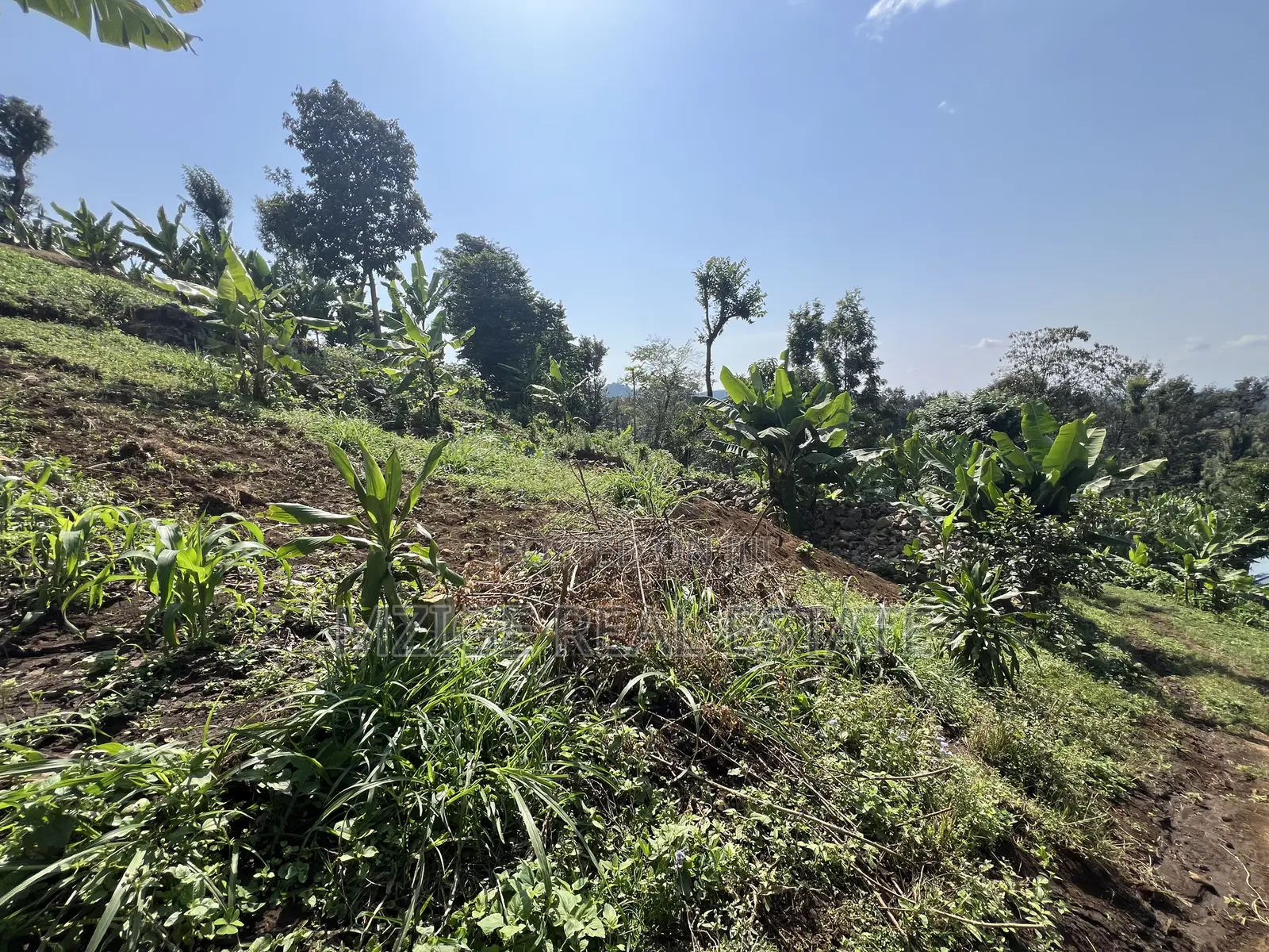 Premium 3.8-Acre Commercial Land in Shangarai / Msorongo, Arusha