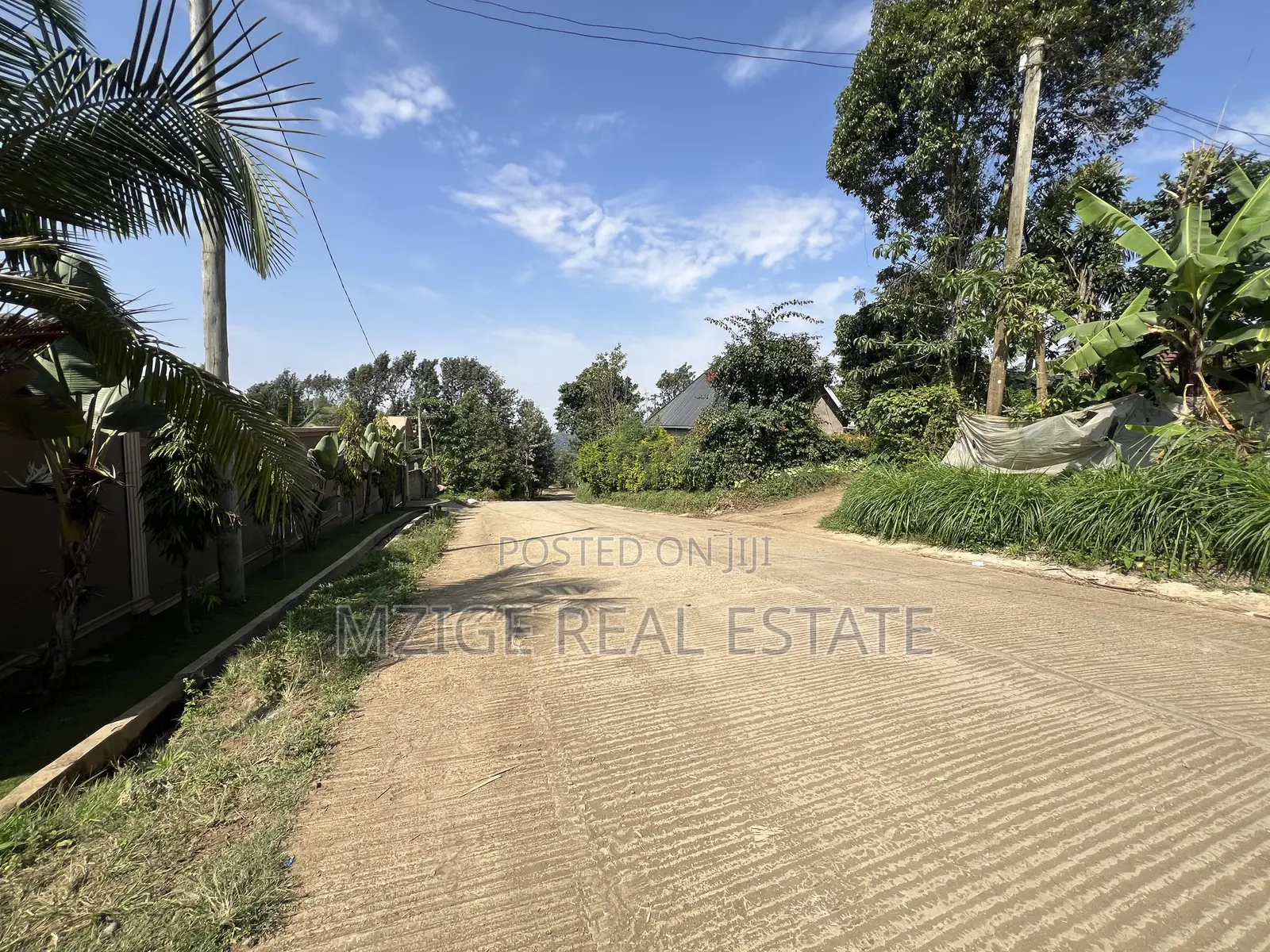 Premium 3.8-Acre Commercial Land in Shangarai / Msorongo, Arusha