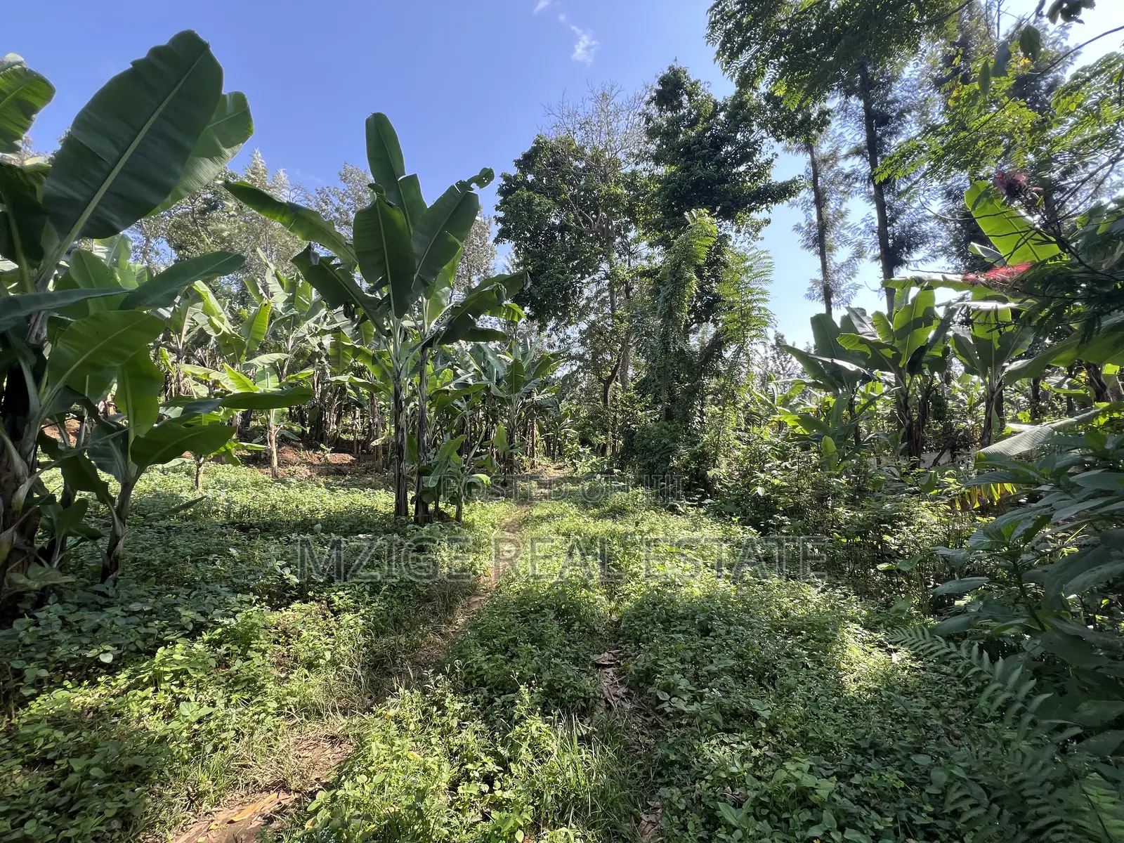 Premium 3.8-Acre Commercial Land in Shangarai / Msorongo, Arusha