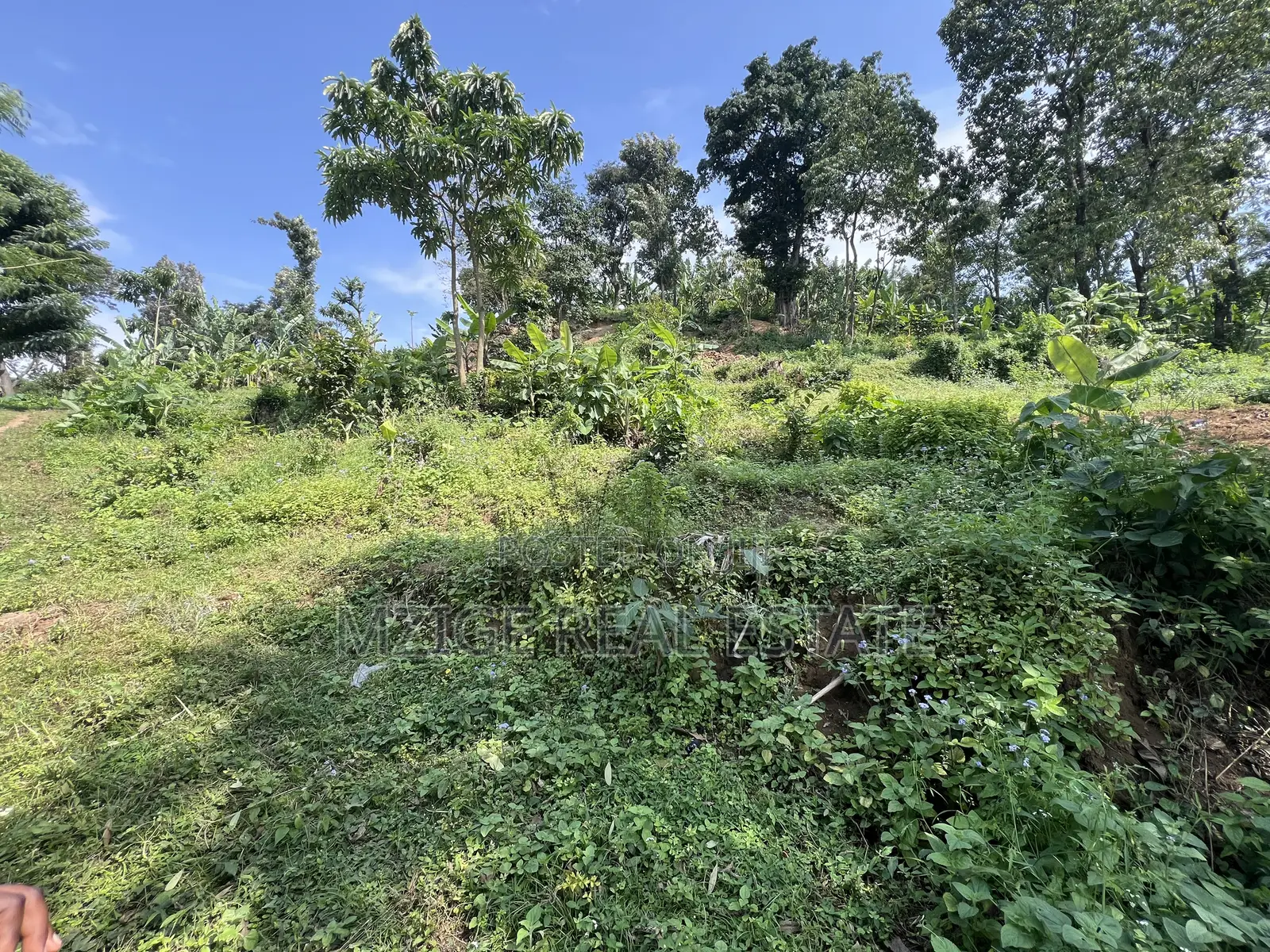 Premium 3.8-Acre Commercial Land in Shangarai / Msorongo, Arusha