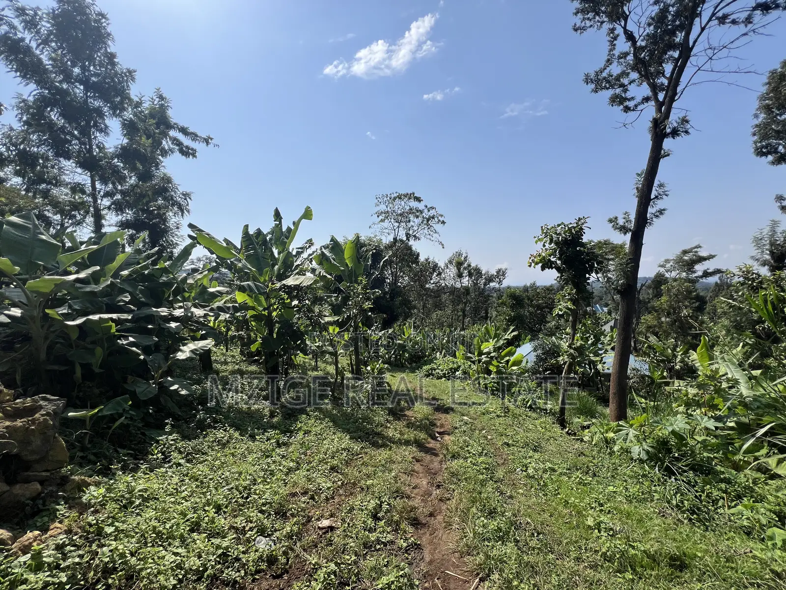 Premium 3.8-Acre Commercial Land in Shangarai / Msorongo, Arusha