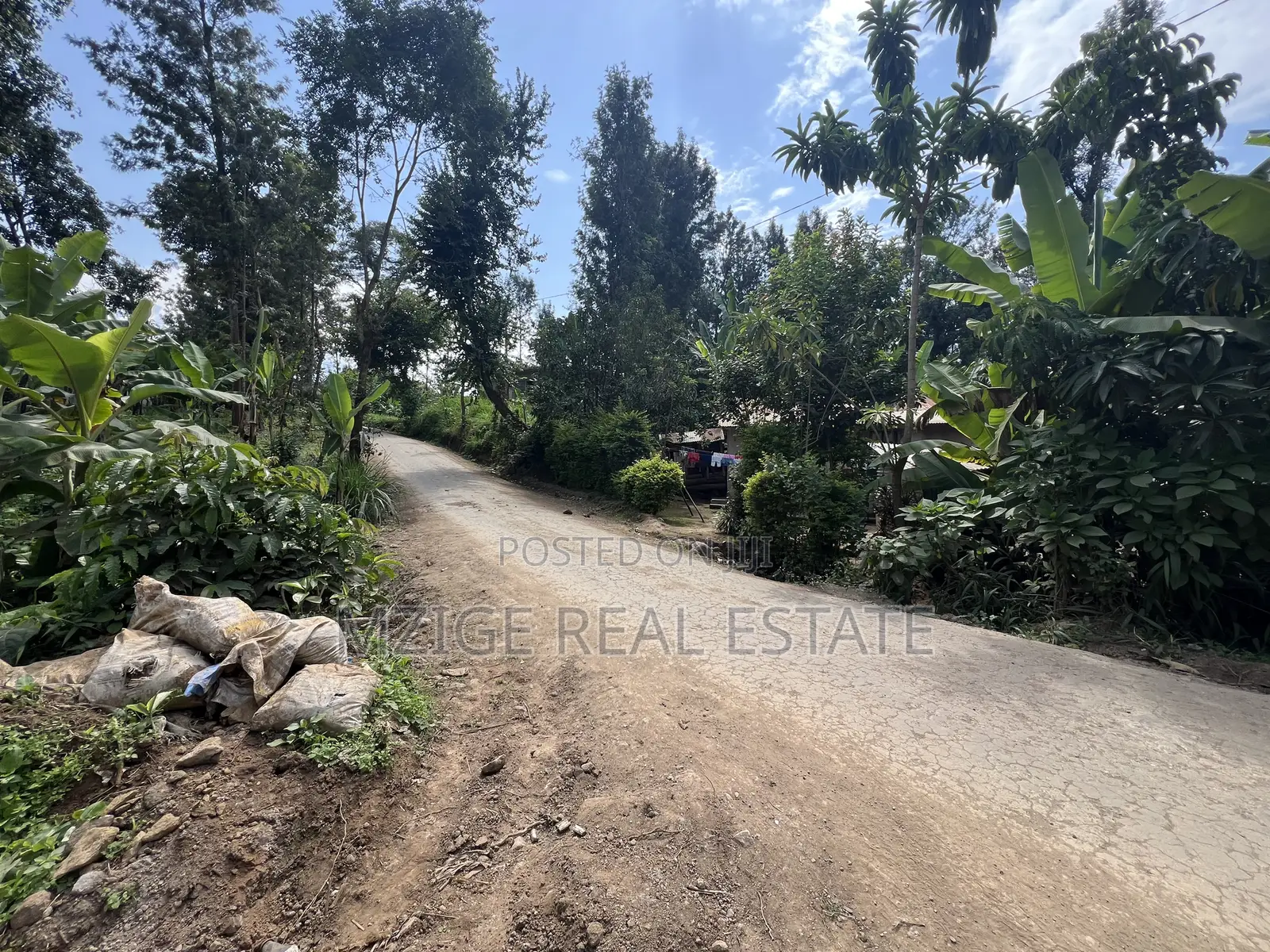 Premium 3.8-Acre Commercial Land in Shangarai / Msorongo, Arusha
