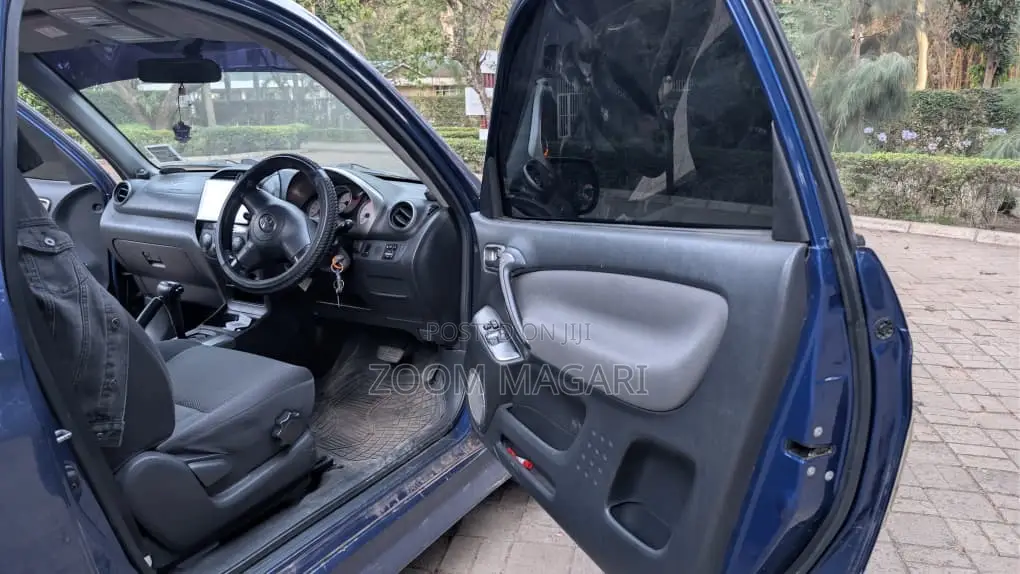 Toyota RAV4 2004 Blue