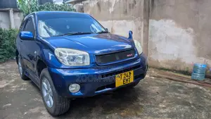 Toyota RAV4 2004 Blue