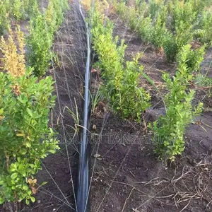 Flexible Drip Hose