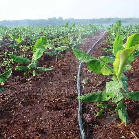 Irrigation Hose Line