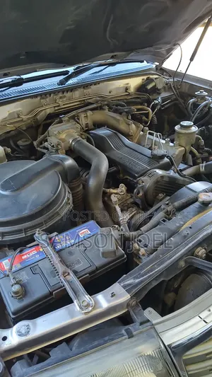 Toyota Land Cruiser 2004 Gold