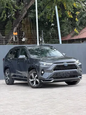 New Toyota RAV4 2025 Gray