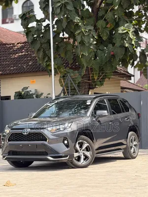 New Toyota RAV4 2025 Gray