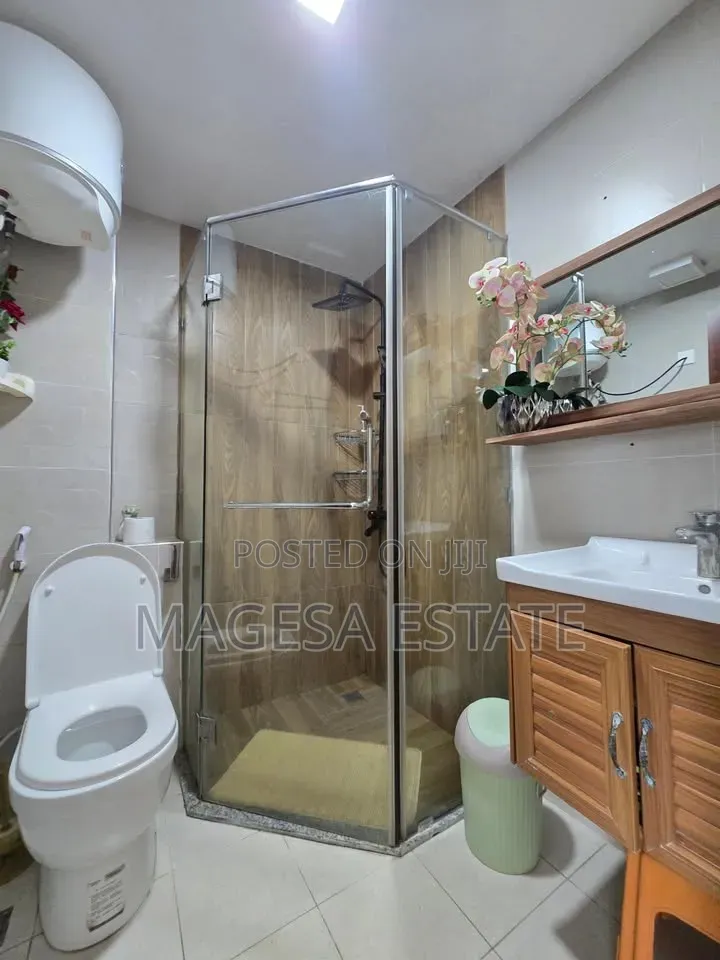 Furnished 3bdrm Apartment in Mikocheni for rent