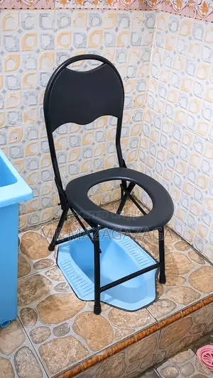 Portable Toilet Chair With Backrest