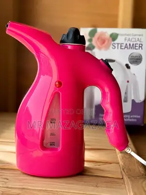 4 in 1 Hand Held Facial Garment Steame
