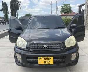 Toyota RAV4 2004 Black