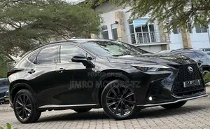 Lexus NX 2022 Black