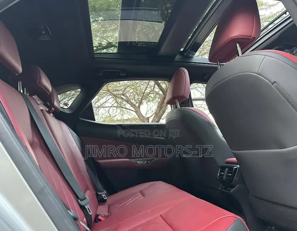 Lexus NX 2022 Gray