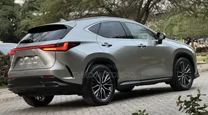 Lexus NX 2022 Gray