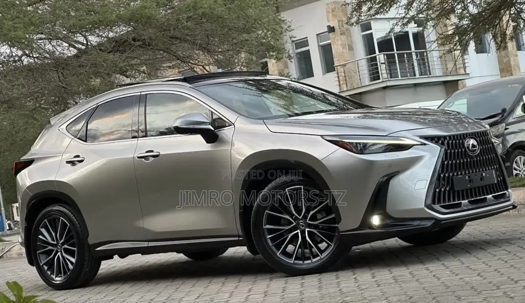 Lexus NX 2022 Gray