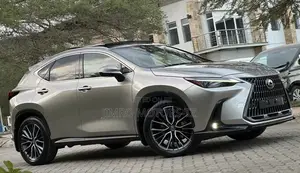 Lexus NX 2022 Gray