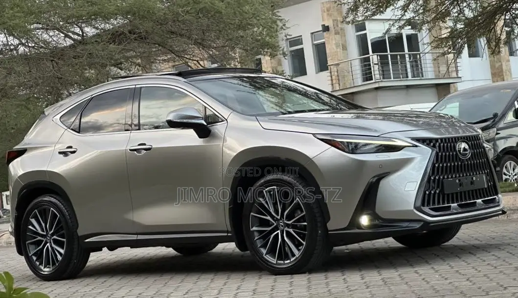 Lexus NX 2022 Gray