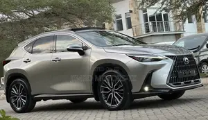 Lexus NX 2022 Gray