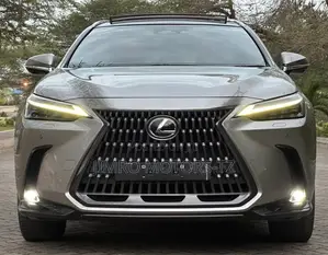 Lexus NX 2022 Gray