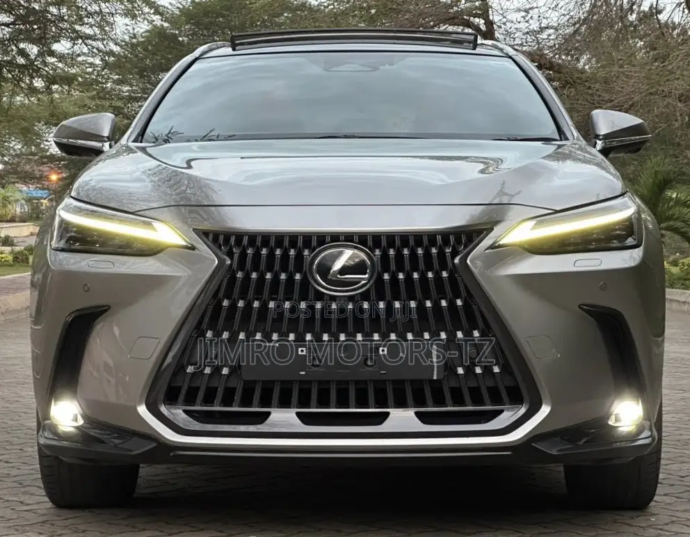 Lexus NX 2022 Gray