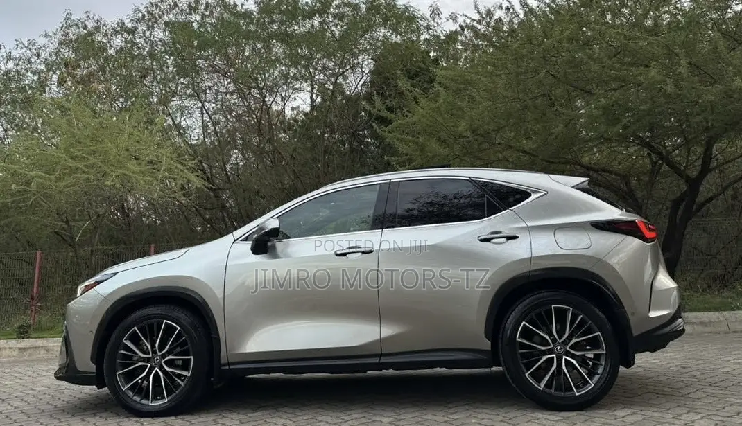 Lexus NX 2022 Gray